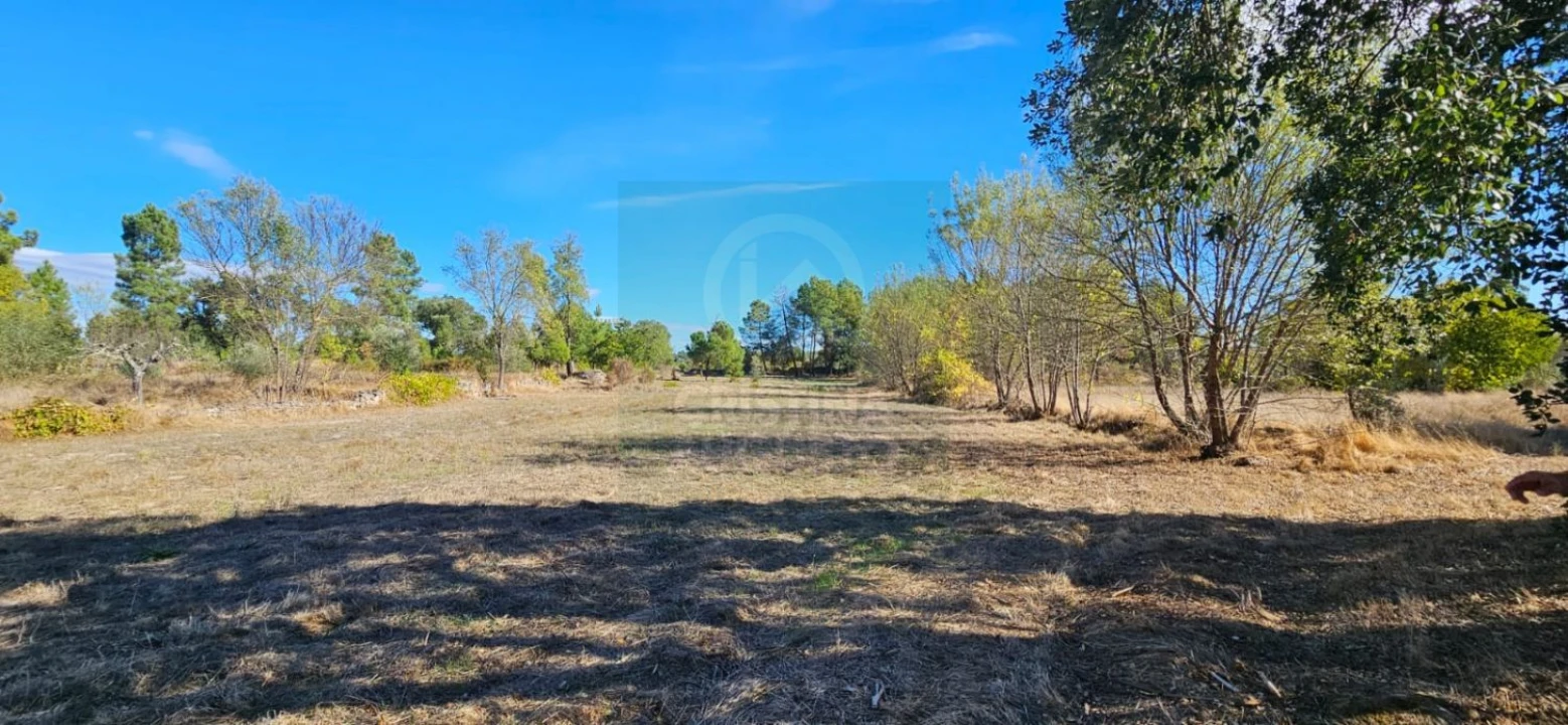 Terreno para Venda em Póvoa de Rio de Moinhos e Cafede Foto 14