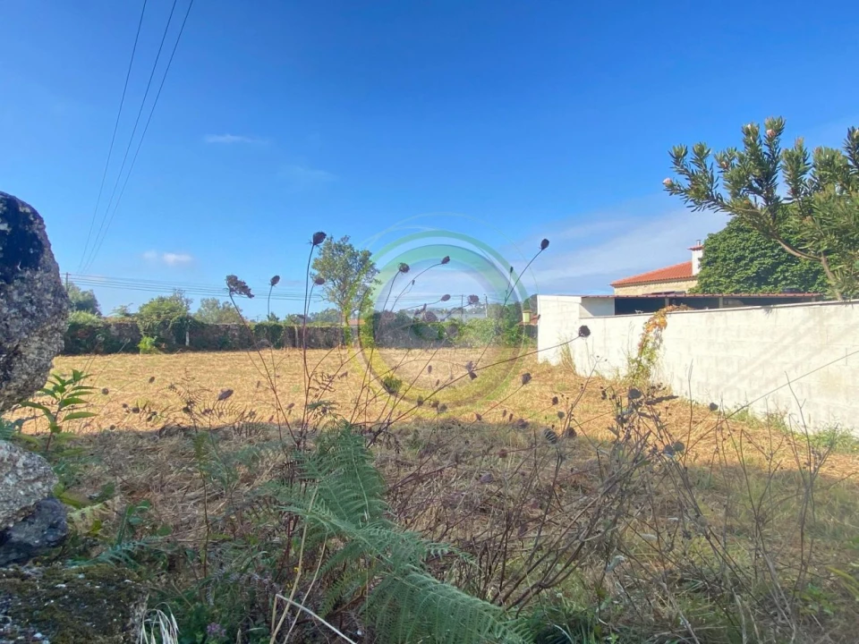 Terreno para Venda em Gemeses Foto 14
