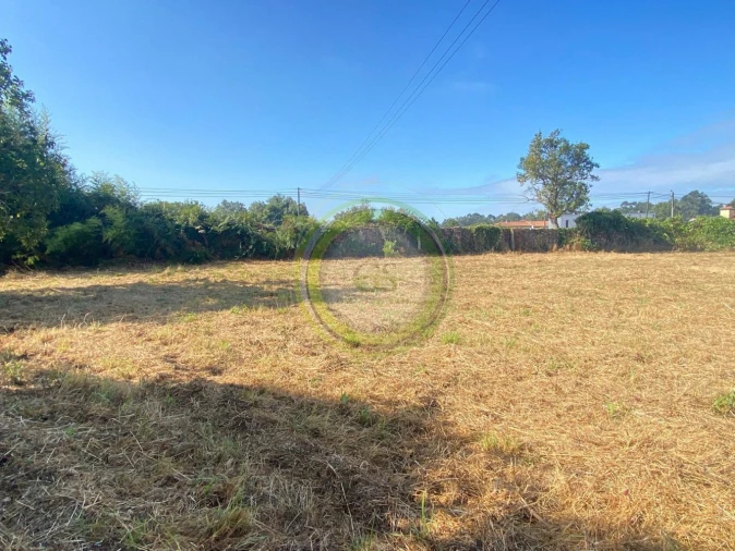 Terreno para Venda em Gemeses Foto 6