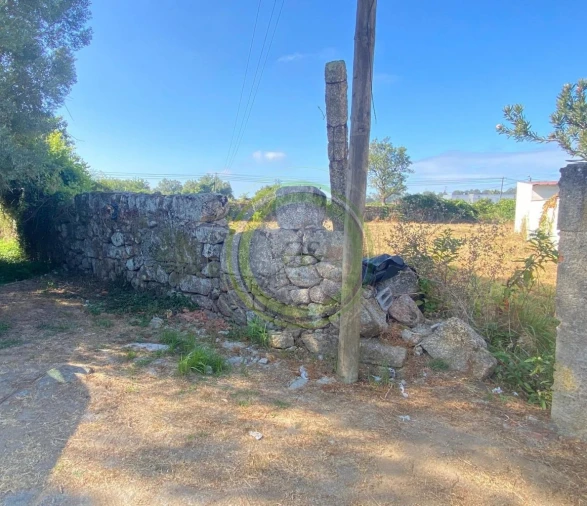 Terreno para Venda em Gemeses Foto 3