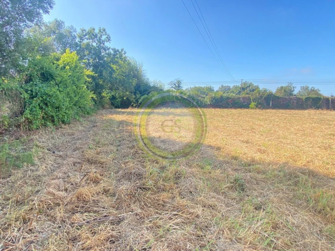 Terreno para Venda em Gemeses Foto 10