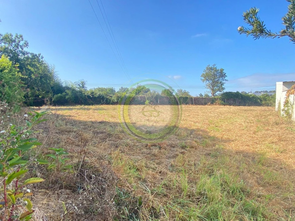 Terreno para Venda em Gemeses Foto 2