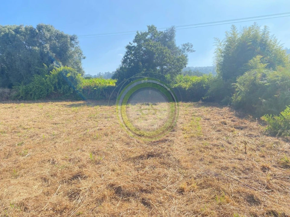 Terreno para Venda em Gemeses Foto 16