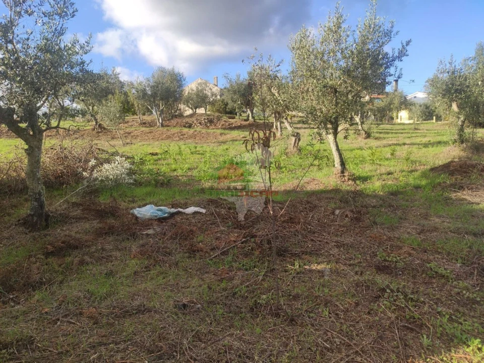 Quinta T4 para Venda em Cumeada e Marmeleiro Foto 12