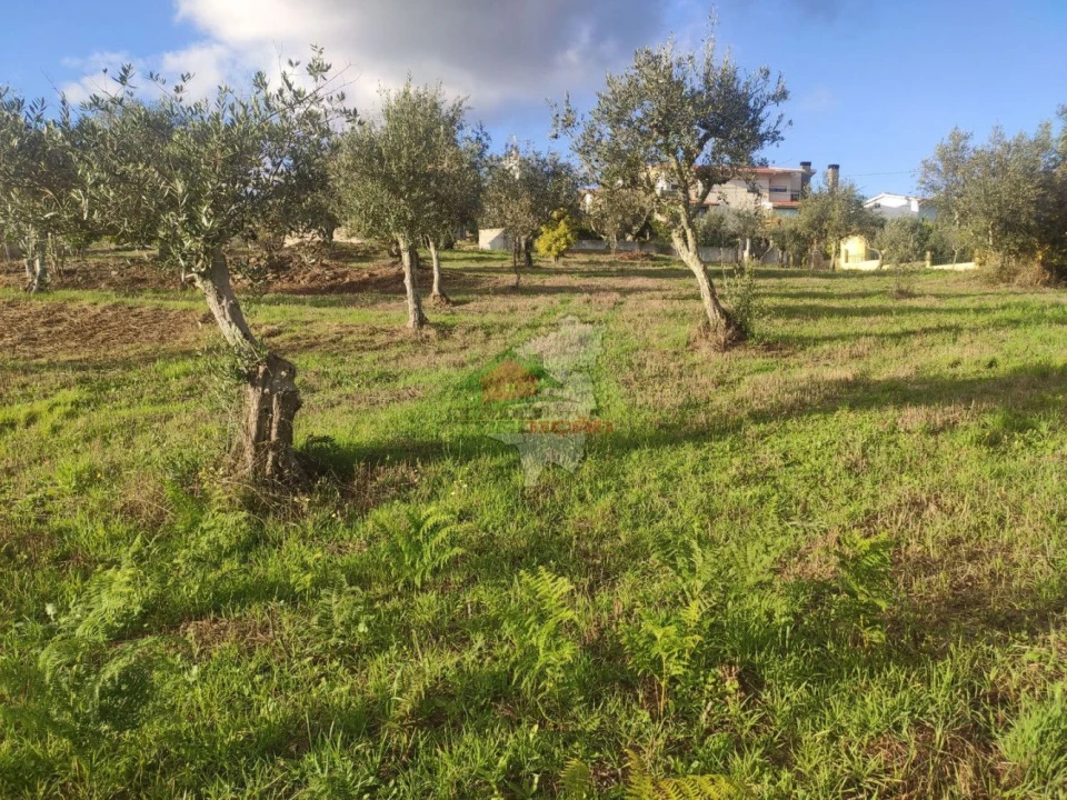 Quinta T4 para Venda em Cumeada e Marmeleiro Foto 26