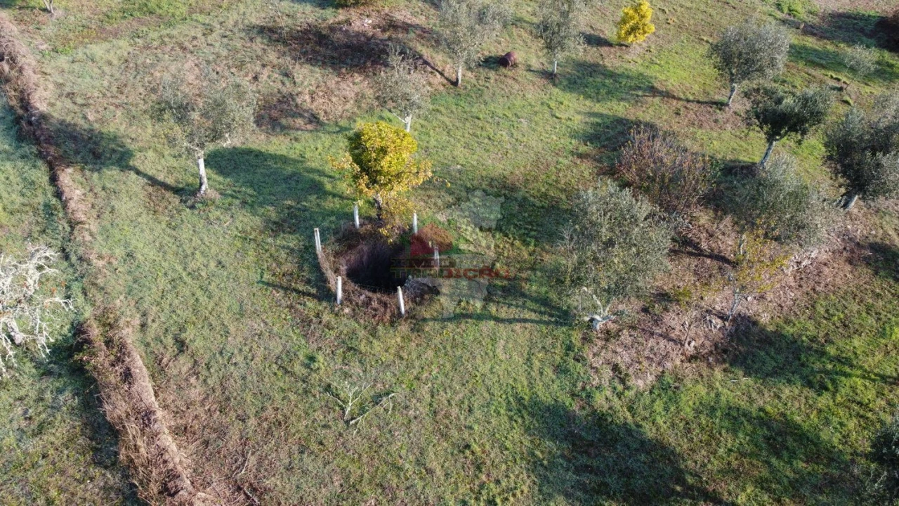 Quinta T4 para Venda em Cumeada e Marmeleiro Foto 47