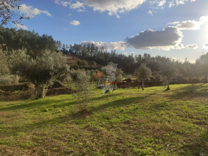 Quinta T4 para Venda em Cumeada e Marmeleiro Foto 24