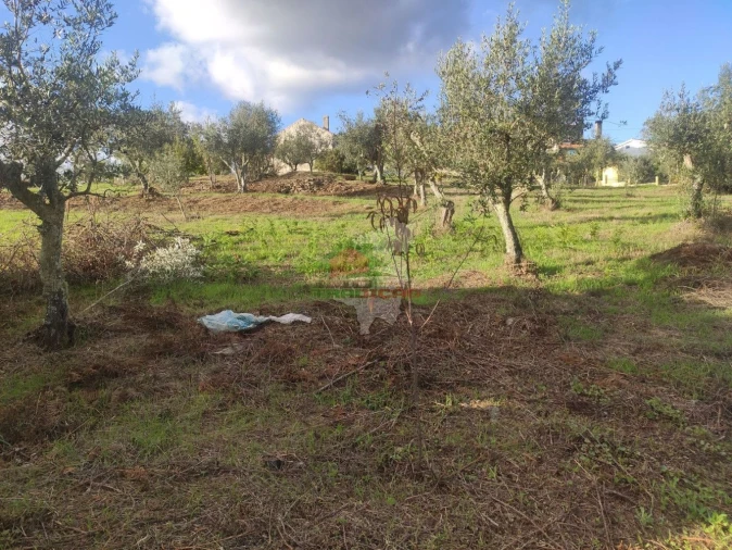 Quinta T4 para Venda em Cumeada e Marmeleiro Foto 12