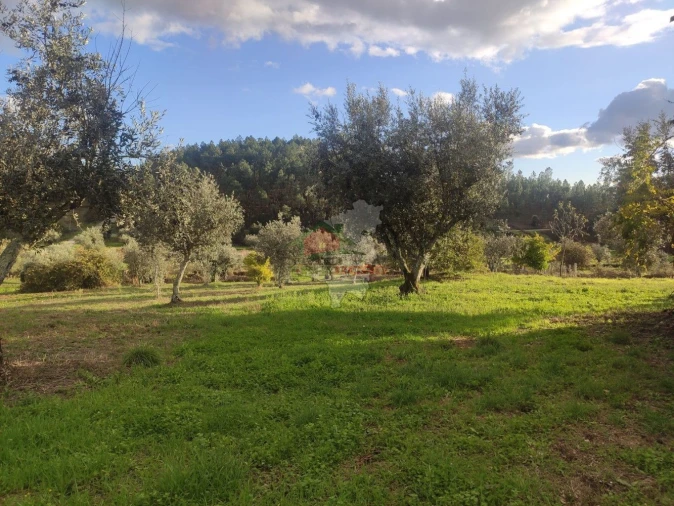 Quinta T4 para Venda em Cumeada e Marmeleiro Foto 23