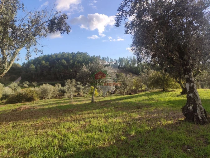 Quinta T4 para Venda em Cumeada e Marmeleiro Foto 31