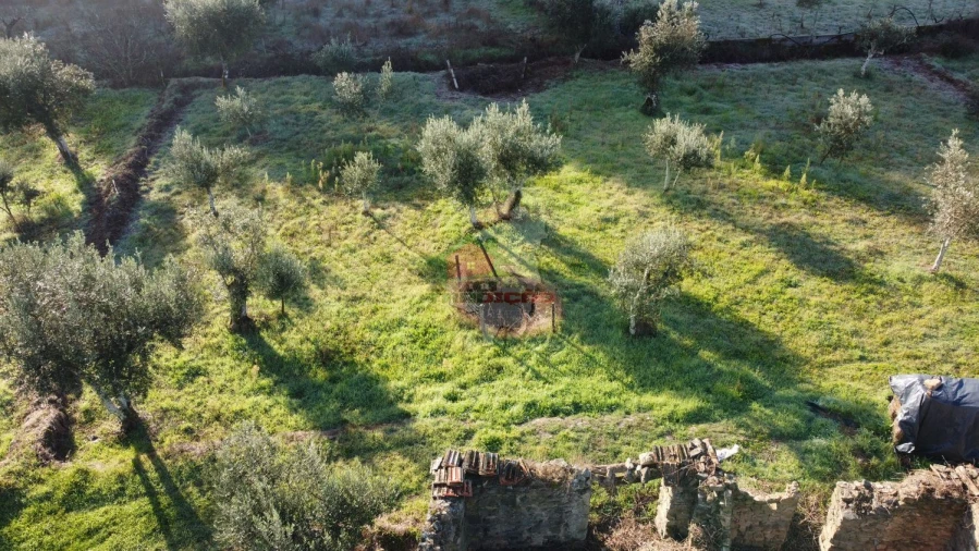 Quinta T4 para Venda em Cumeada e Marmeleiro Foto 44
