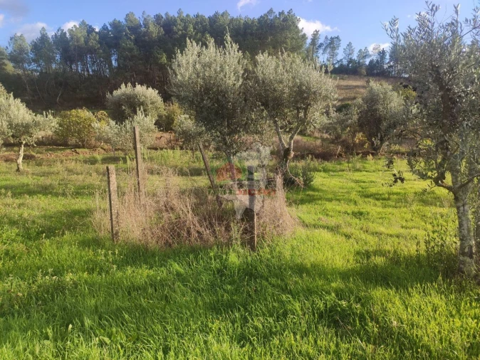 Quinta T4 para Venda em Cumeada e Marmeleiro Foto 21