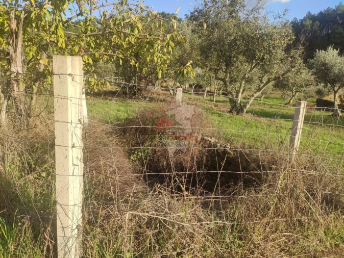 Quinta T4 para Venda em Cumeada e Marmeleiro Foto 18