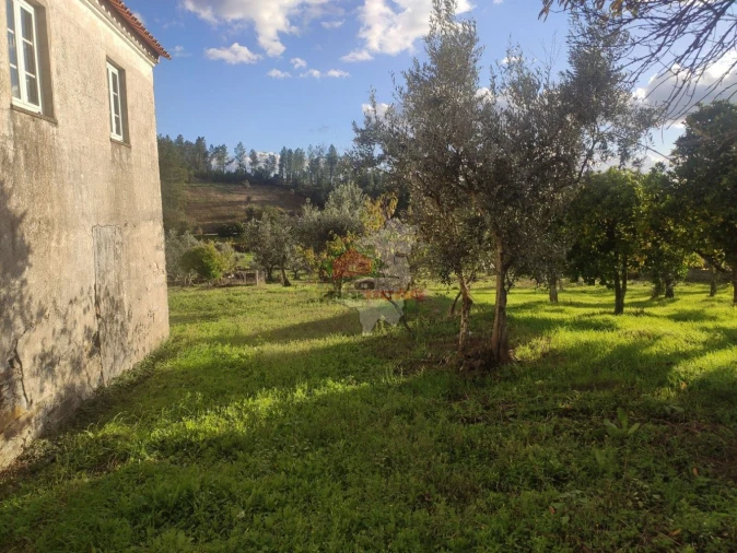 Quinta T4 para Venda em Cumeada e Marmeleiro Foto 32