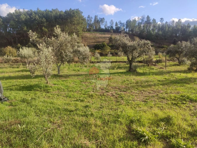 Quinta T4 para Venda em Cumeada e Marmeleiro Foto 22