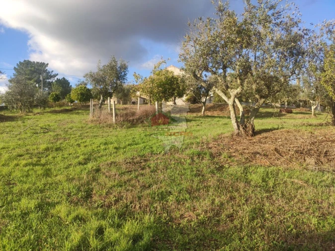 Quinta T4 para Venda em Cumeada e Marmeleiro Foto 20