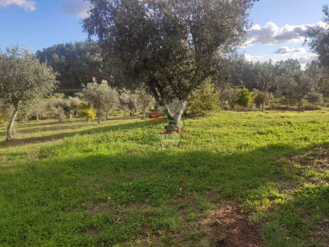 Quinta T4 para Venda em Cumeada e Marmeleiro Foto 30