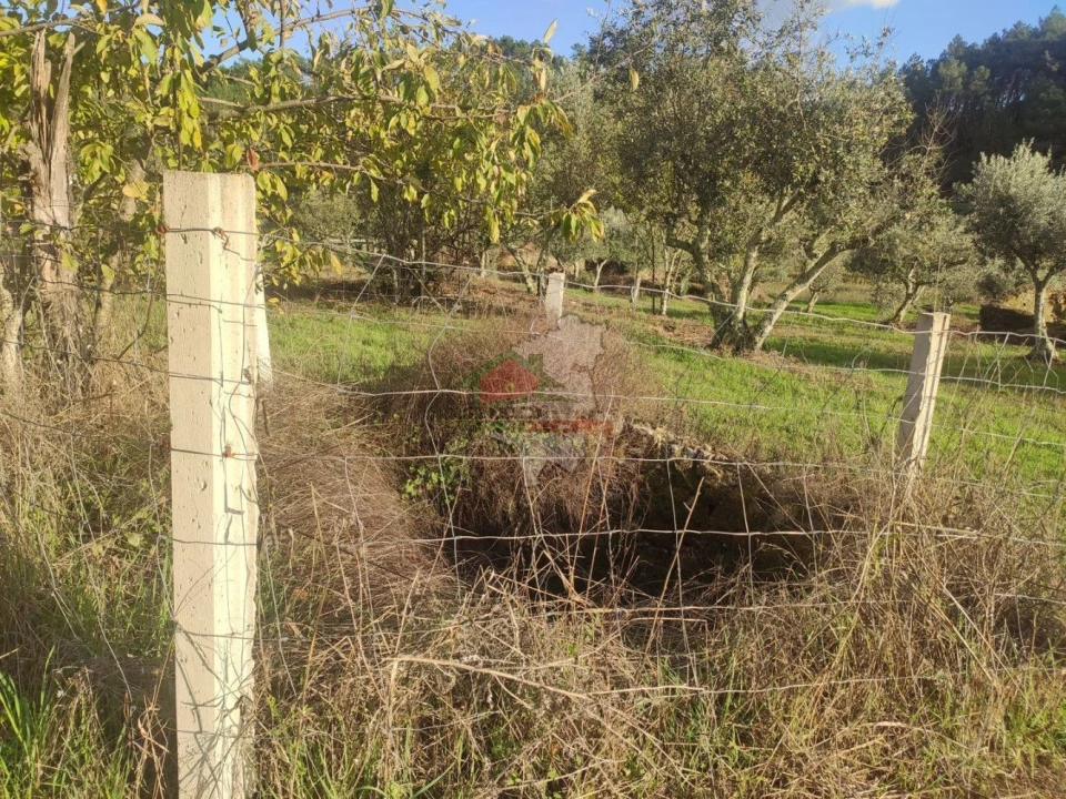 Quinta T4 para Venda em Cumeada e Marmeleiro Foto 18
