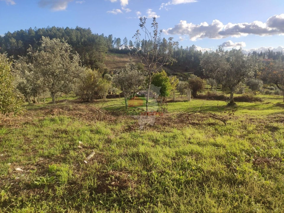 Quinta T4 para Venda em Cumeada e Marmeleiro Foto 28