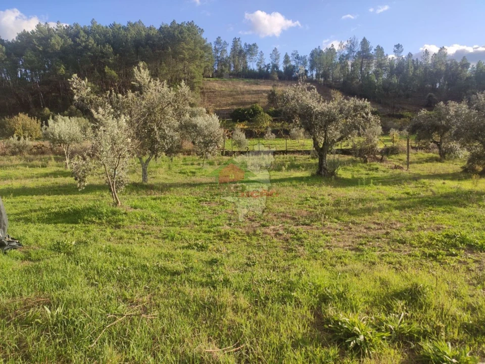 Quinta T4 para Venda em Cumeada e Marmeleiro Foto 22