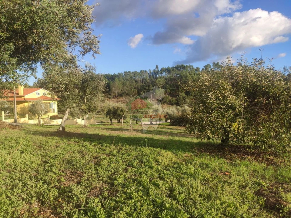 Quinta T4 para Venda em Cumeada e Marmeleiro Foto 29