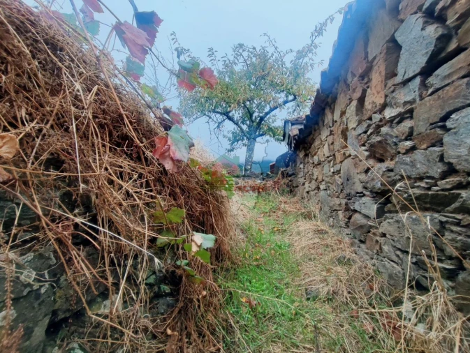 Moradia T2 para Venda em Sobreira Formosa e Alvito da Beira Foto 14