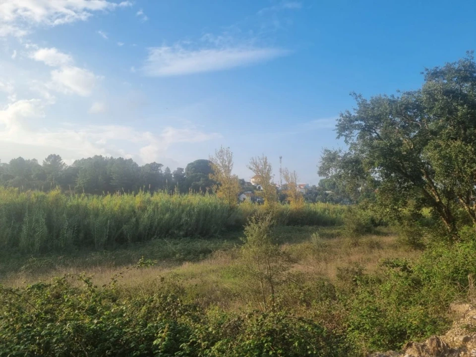 Terreno para Venda em Bemposta Foto 15