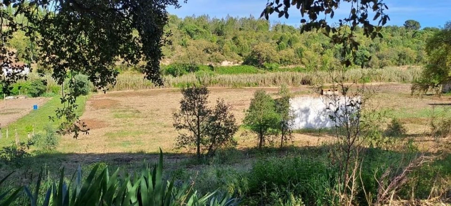 Terreno para Venda em Bemposta Foto 21