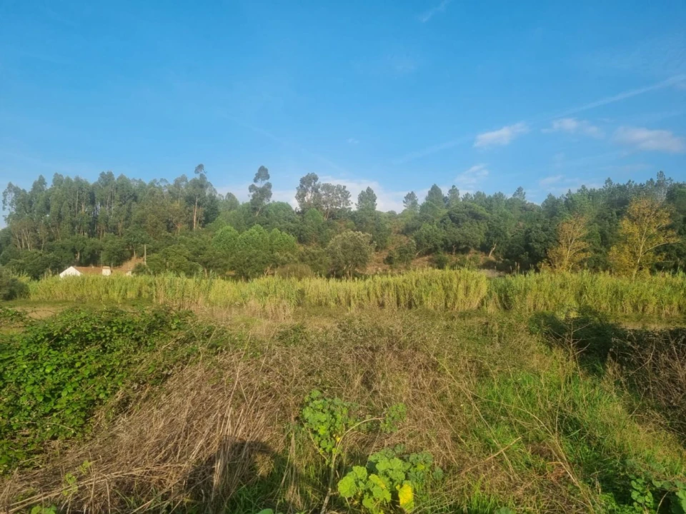 Terreno para Venda em Bemposta Foto 20