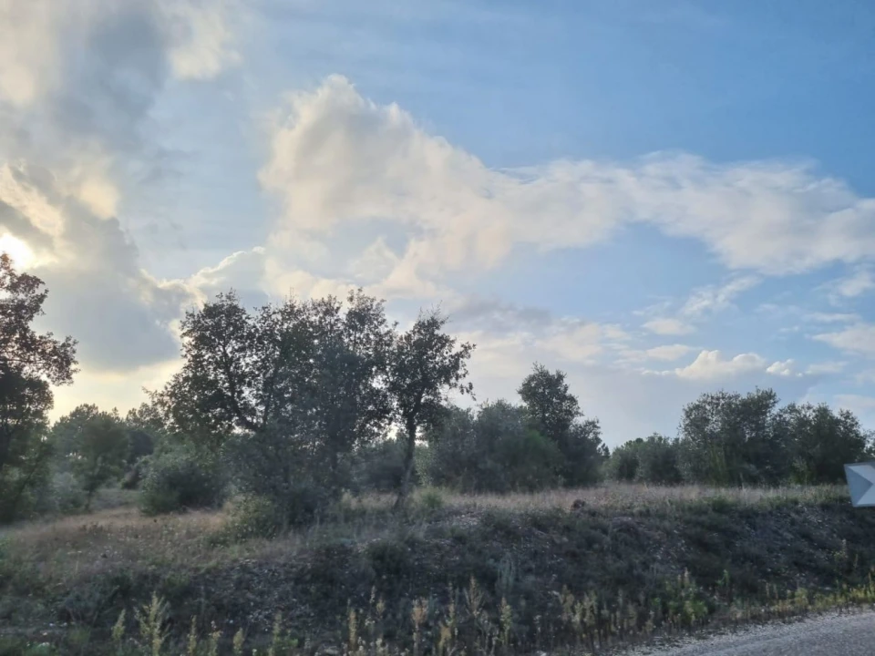 Terreno para Venda em Bemposta Foto 16