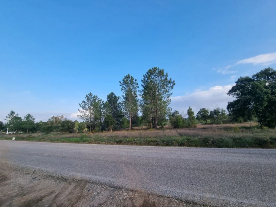 Terreno para Venda em Bemposta Foto 14