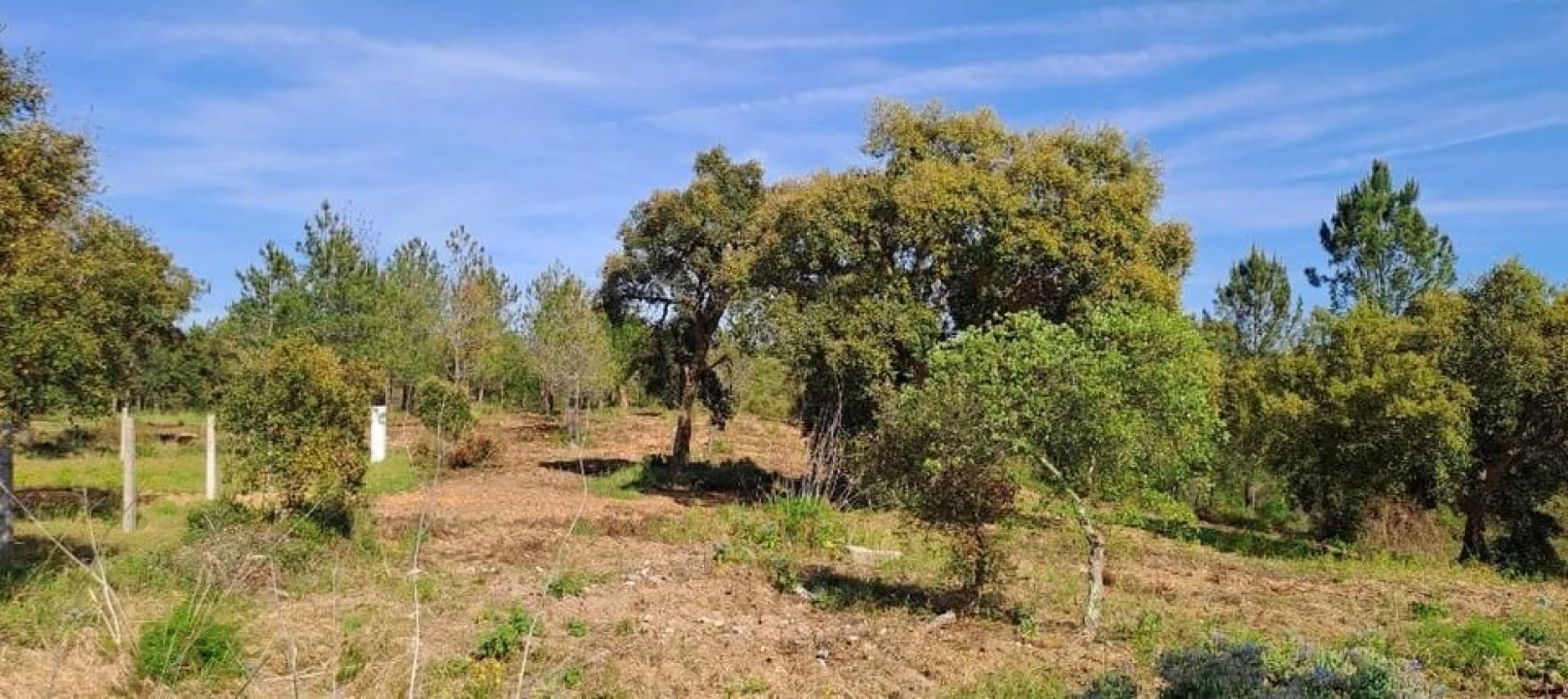 Terreno para Venda em Bemposta Foto 22
