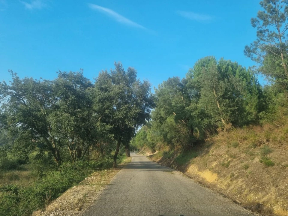 Terreno para Venda em Bemposta Foto 19