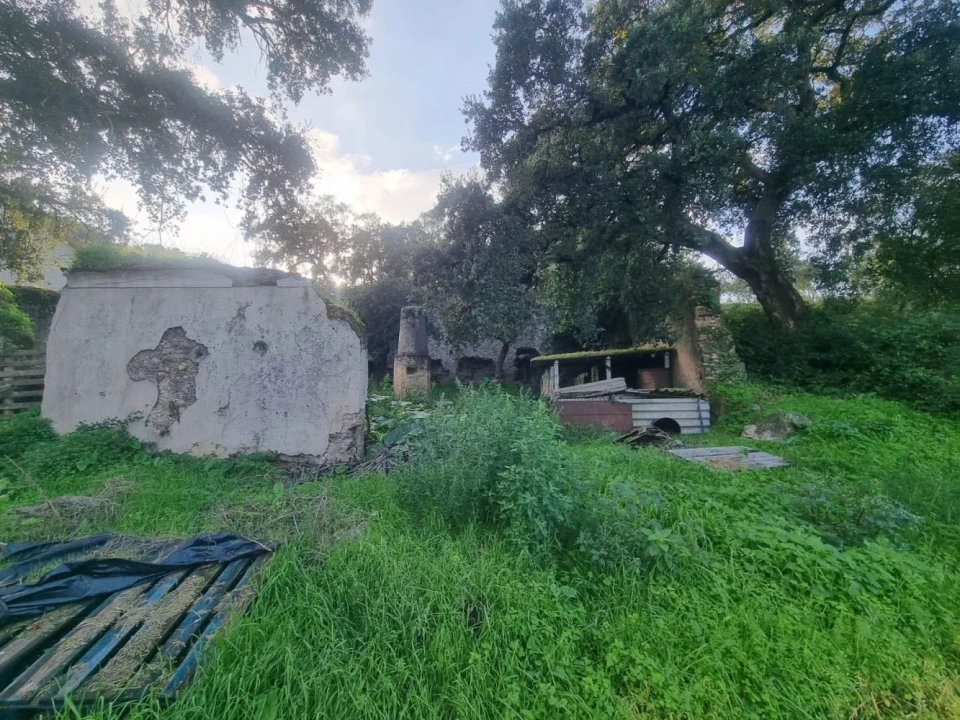 Terreno para Venda em Bemposta Foto 6