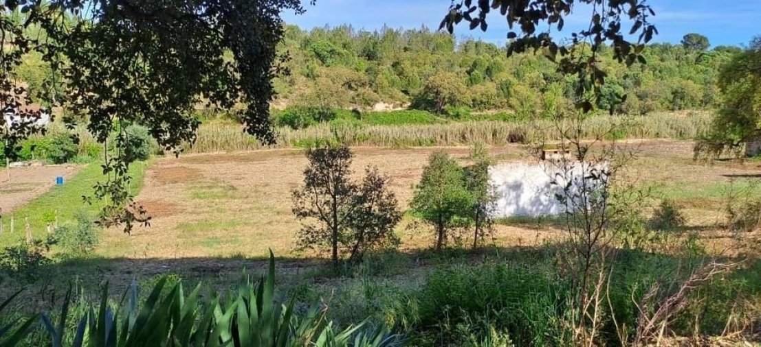 Terreno para Venda em Bemposta Foto 21