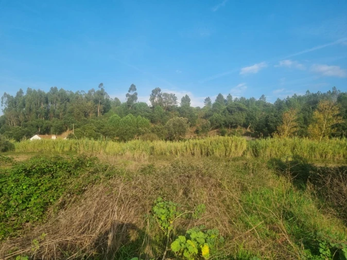 Terreno para Venda em Bemposta Foto 20