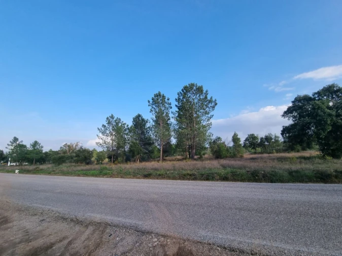 Terreno para Venda em Bemposta Foto 14