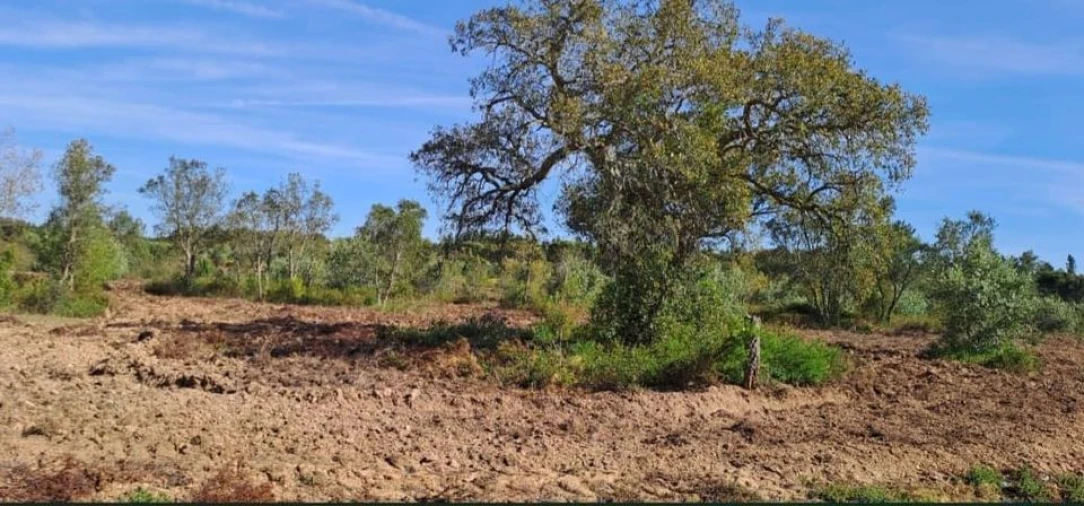 Terreno para Venda em Bemposta Foto 25