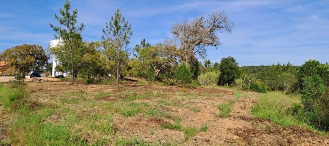 Terreno para Venda em Bemposta Foto 23