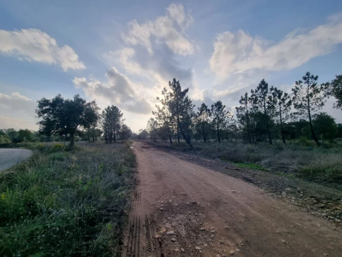 Terreno para Venda em Bemposta Foto 11