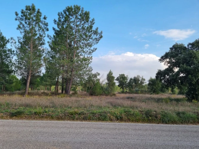 Terreno para Venda em Bemposta Foto 12