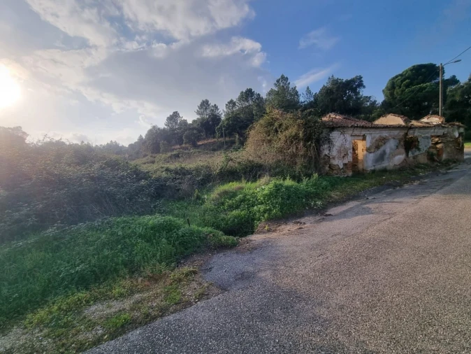 Terreno para Venda em Bemposta Foto 3