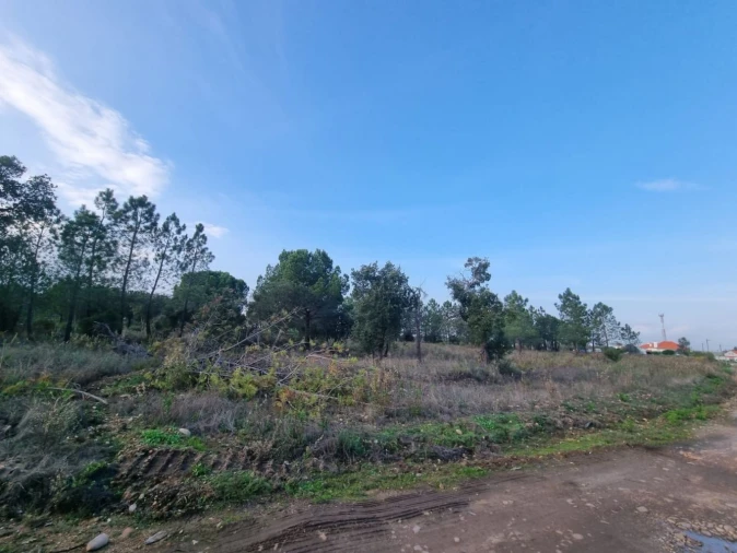 Terreno para Venda em Bemposta Foto 13