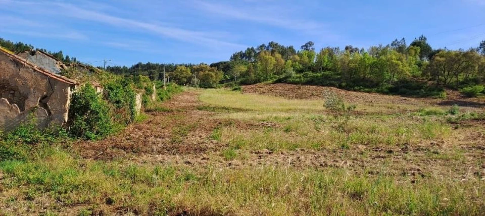 Terreno para Venda em Bemposta Foto 26