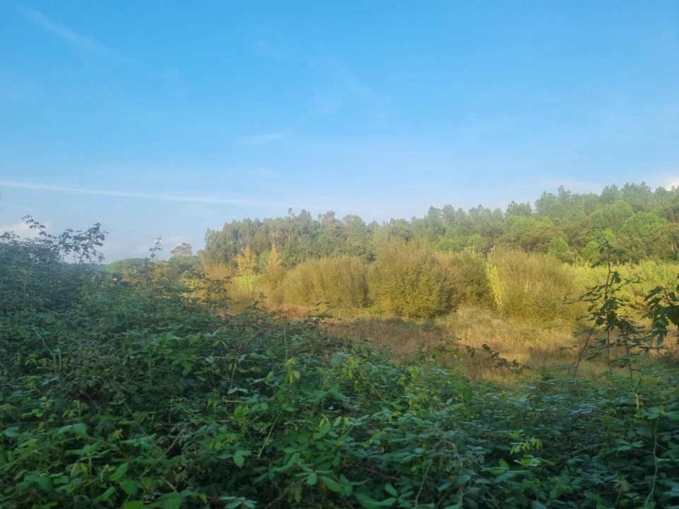 Terreno para Venda em Bemposta Foto 18