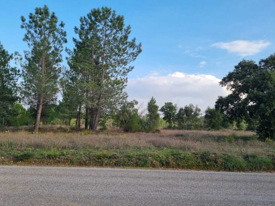 Terreno para Venda em Bemposta Foto 12