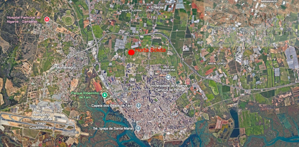 Terreno para Venda em Faro (Sé e São Pedro) Foto 4