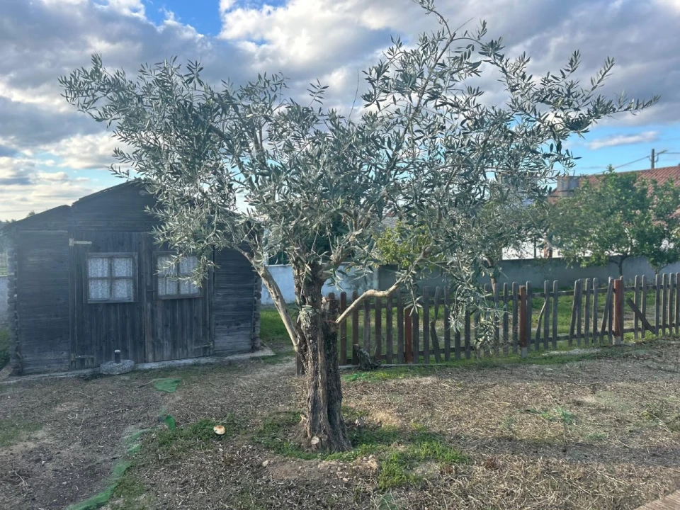 Moradia T3 para Venda em Foros de Arrão Foto 11