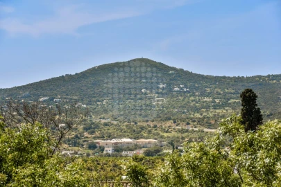 Moradia T30 para Venda em Conceição e Estoi