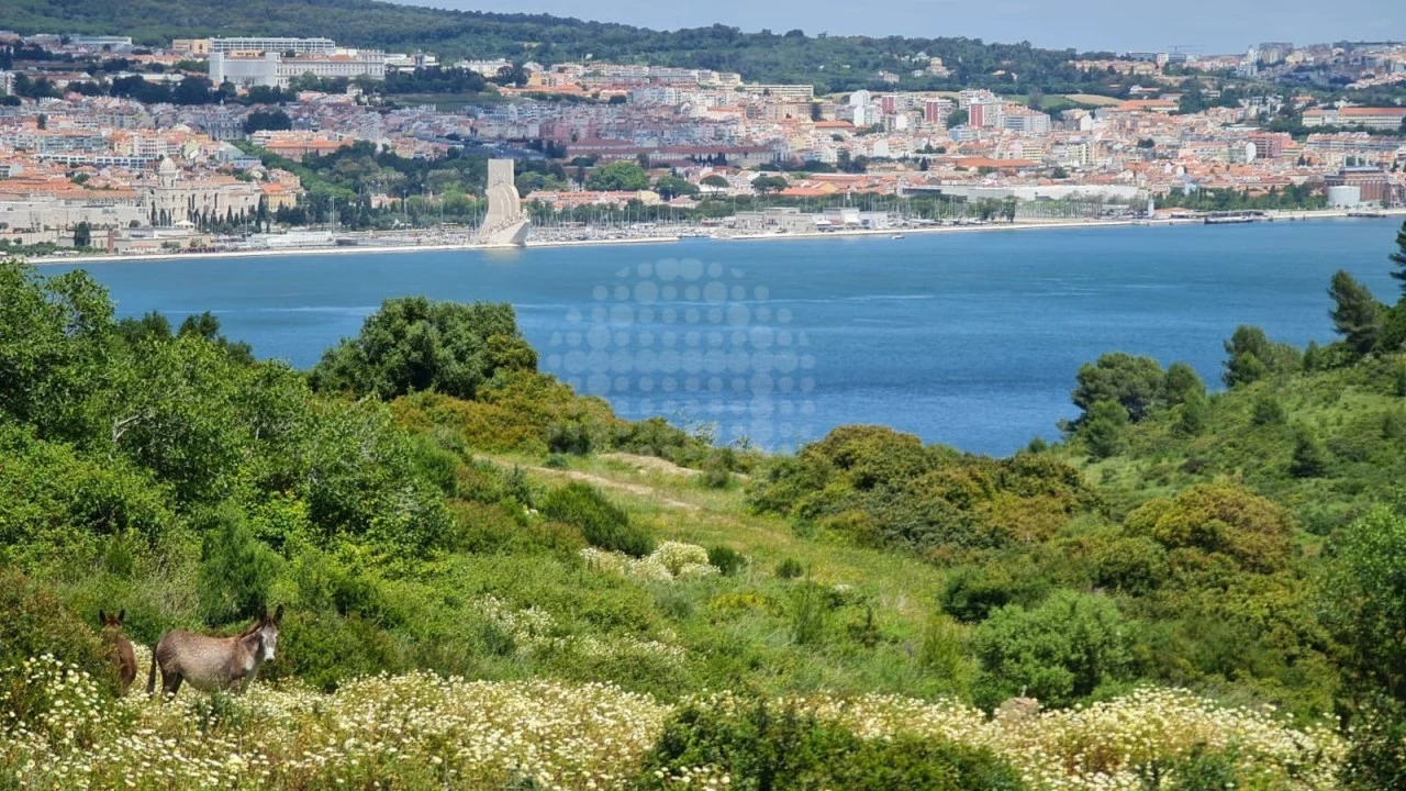 Moradia T5 para Venda em Caparica e Trafaria Foto 36